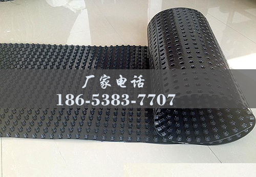 排水板廠家http://zhuyipaimai.com/