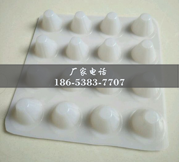 排水板廠家http://zhuyipaimai.com/