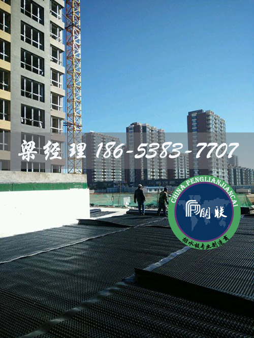 排水板廠家http://zhuyipaimai.com/